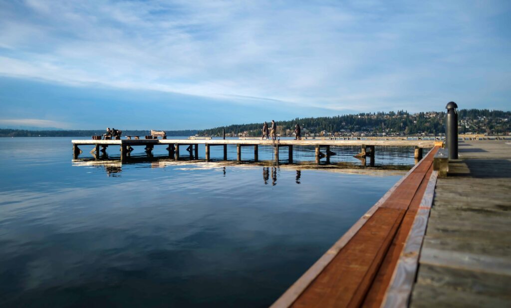 - This beautiful lakefront park offers peaceful walking paths along Lake Washington, providing a calming natural environment that supports mindfulness and stress reduction.